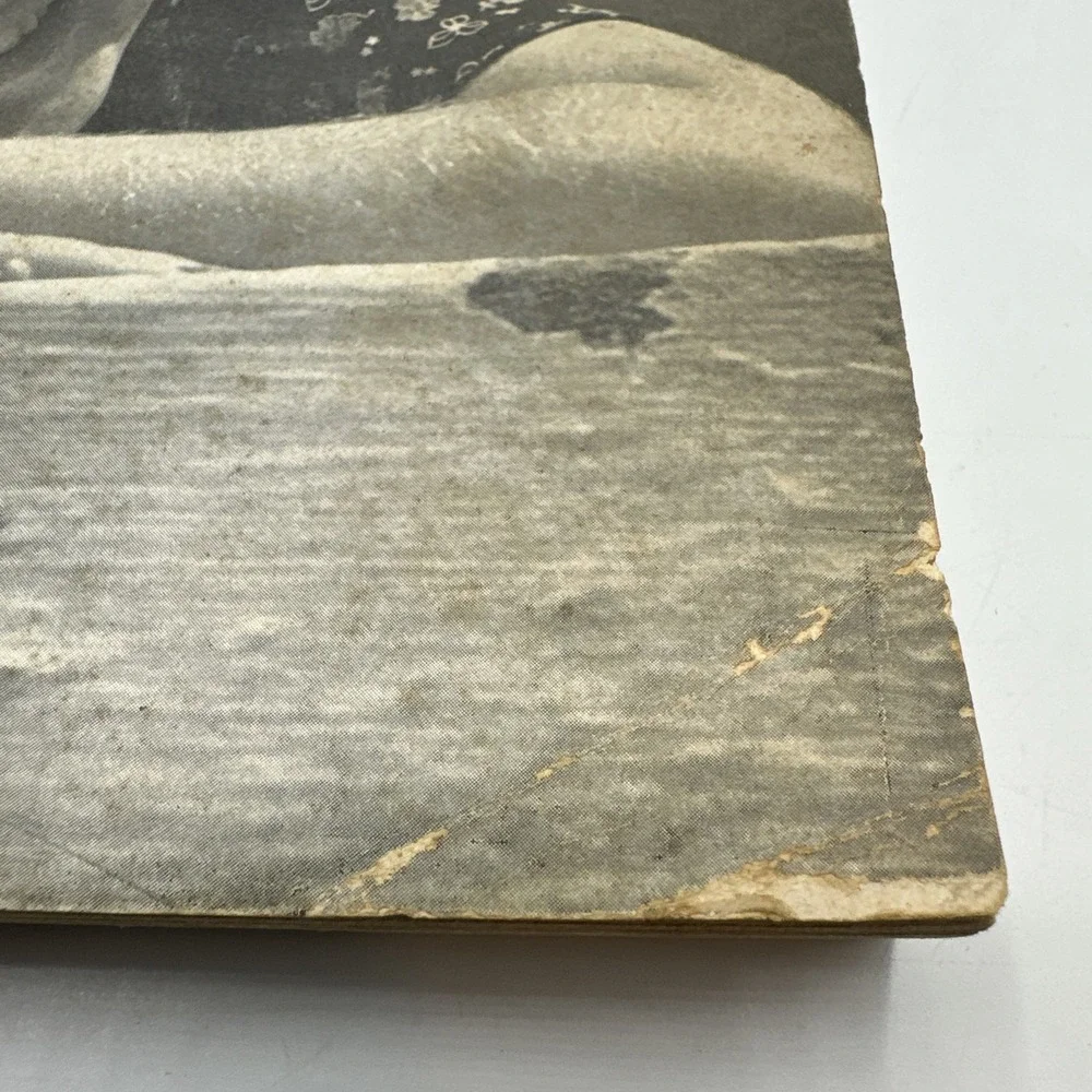 The American Annual Of Photography 1951 Volume 65 Paperback Vintage Camera Adds